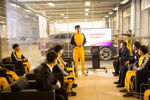 实训车辆整齐摆放