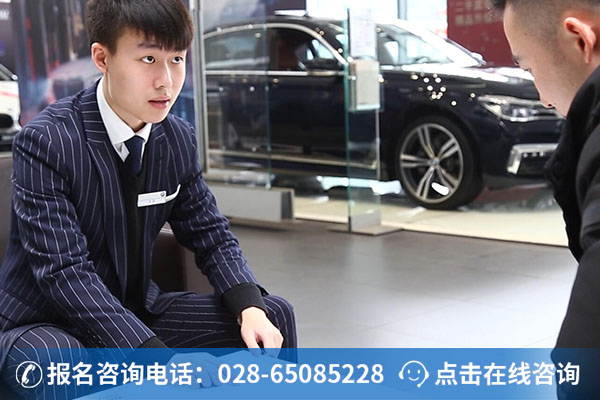 张涛正在给客户讲解新车性能 (2)