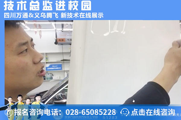 吴总正在为大家讲解隐形车衣新技术要点 (1)