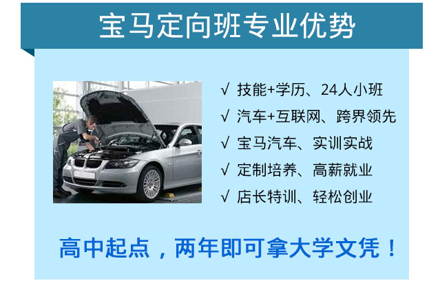 高端品牌汽车技师宝马班