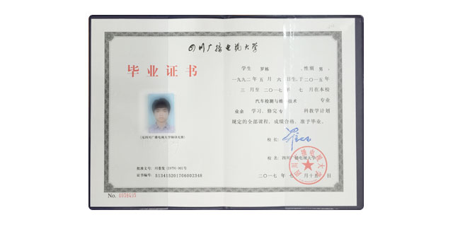 初中毕业学什么赚钱