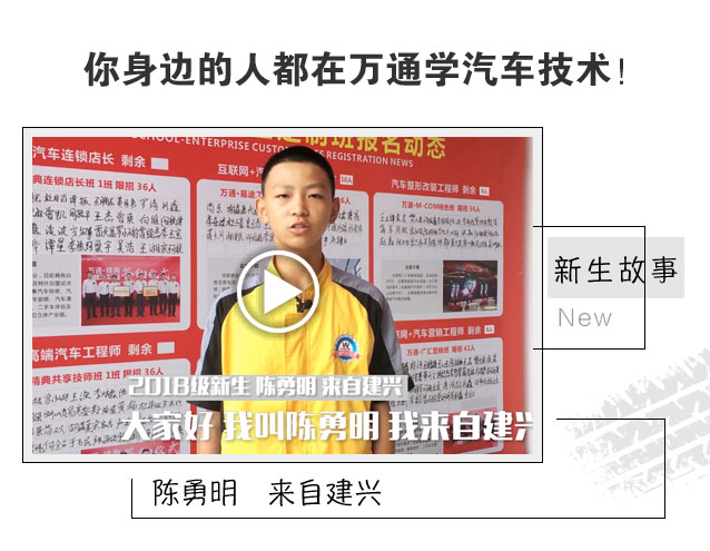 学什么技术好