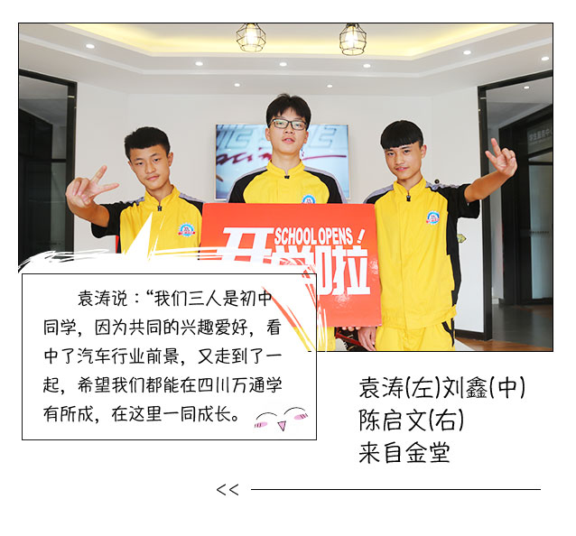 学什么技术好