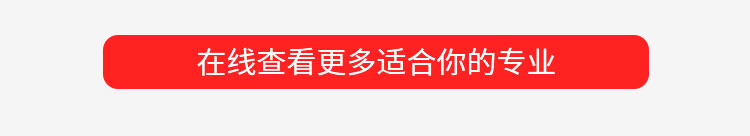 新能源+智能网联工程师