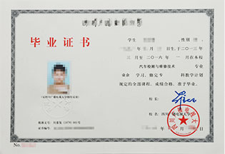 两份收获