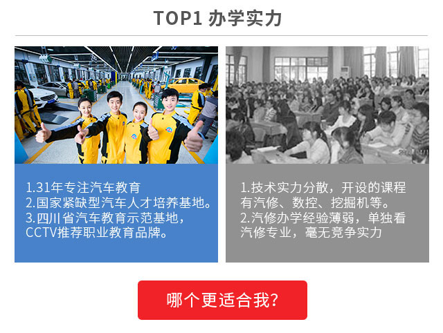 现在学什么技术好