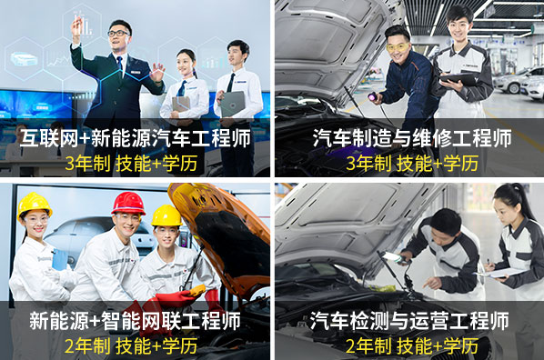 报读专业