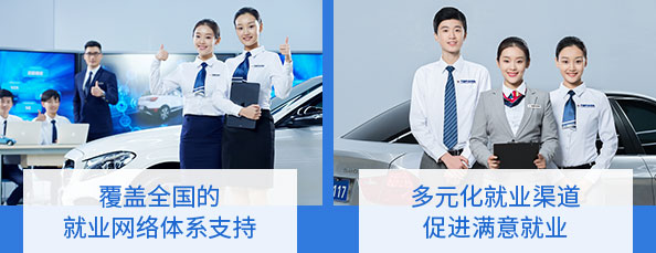 就业网络体系支持