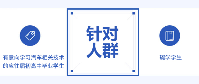 高端车云诊断